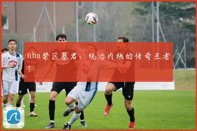 nba禁区暴君，统治内线的传奇王者！