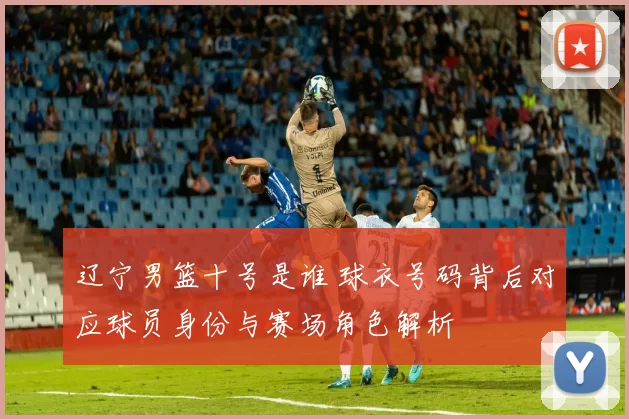 辽宁男篮十号是谁 球衣号码背后对应球员身份与赛场角色解析