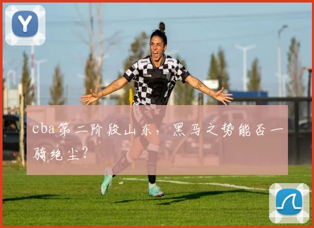 cba第二阶段山东，黑马之势能否一骑绝尘？
