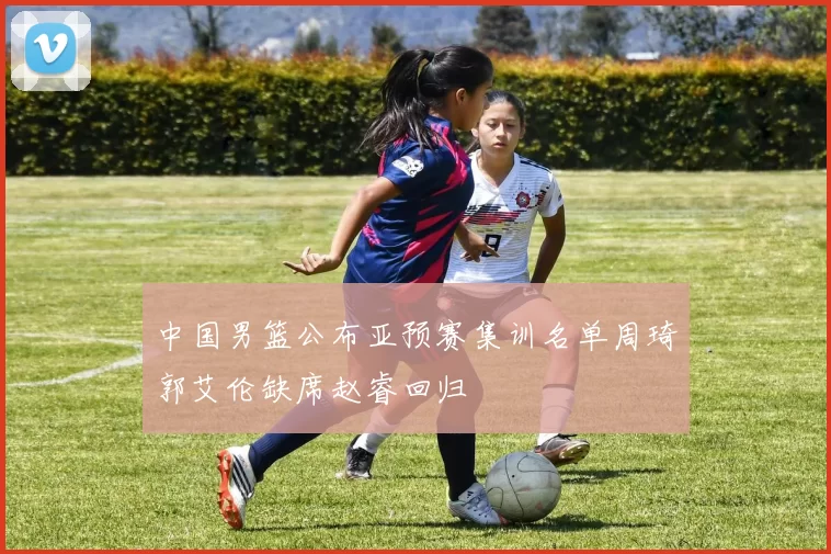 中国男篮公布亚预赛集训名单周琦郭艾伦缺席赵睿回归