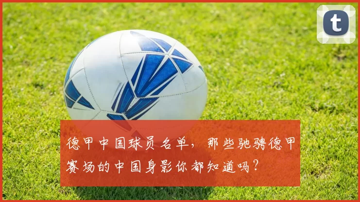 德甲中国球员名单，那些驰骋德甲赛场的中国身影你都知道吗？