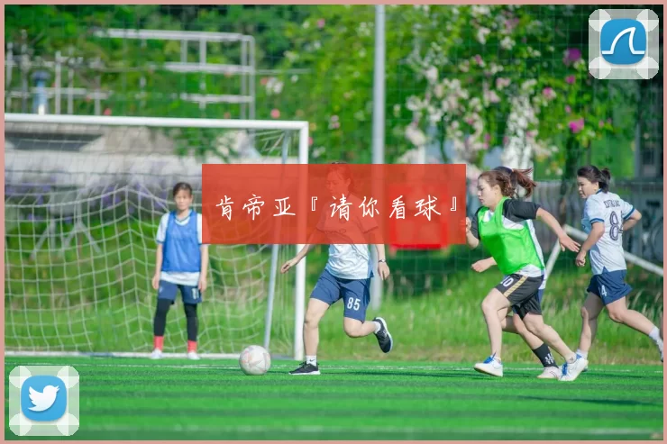 肯帝亚『请你看球』