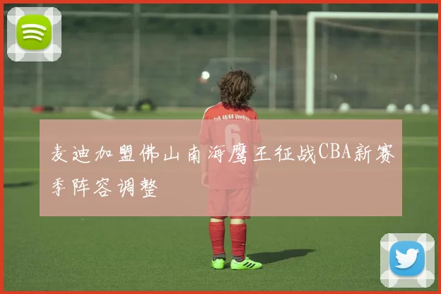 麦迪加盟佛山南海鹰王征战CBA新赛季阵容调整