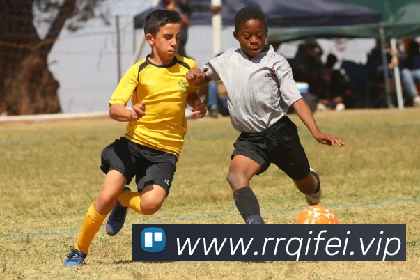 多媒体互动体验